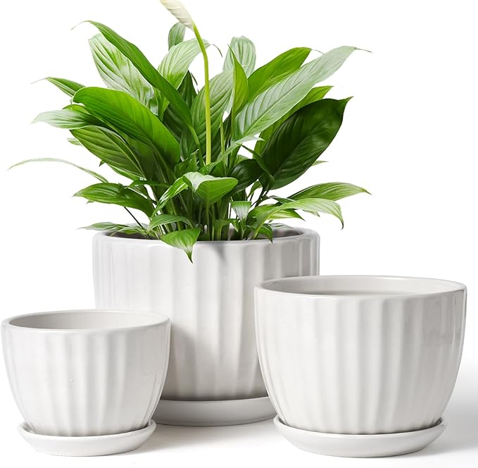 STHIE 4/5/6 Inches Ceramic Plant Pots with Drainage Holes and Saucers, Round Flower Pots for Indoor Plant, Modern Flower Planters Set of 3 (White-Big Size)