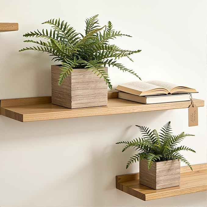 2 Pack Medium Fake Fern Plants with 4 Inch Wooden Planters, 9" Inch Tall Indoor Artificial Fern Plants for Shelves, Desktop, Bedroom, Office Decor