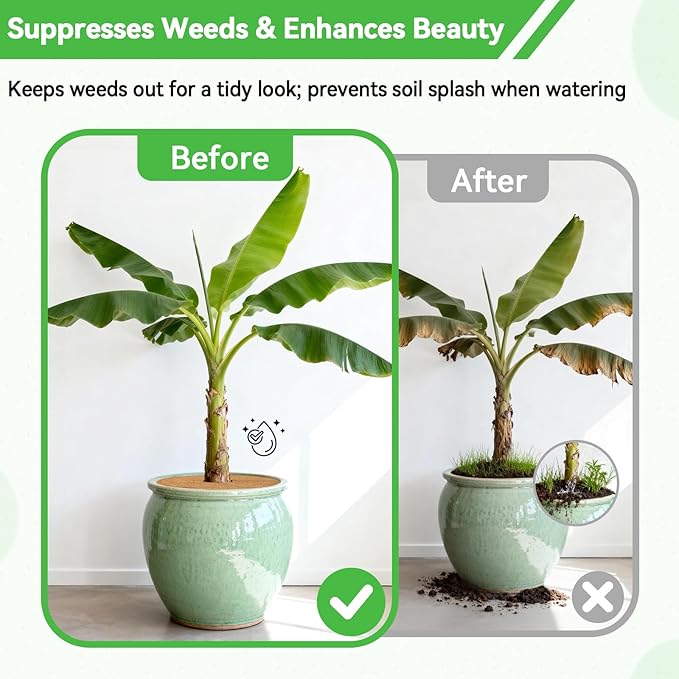 ZeeDix 3 Pack Coconut Fiber Mulch Ring, 24 Inch Coco Coir Tree Ring Mulch Mat, 100% Natural Tree Protector Mat Plant Cover Ring Coconut Coir Discs Tree Mats Mulch Rings for Indoor Outdoor Trees Plants
