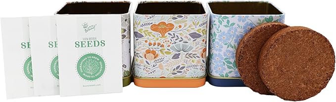 BUZZY Seeds Herbal Tea Garden Grow Kit – 3 Square Tin Planters with Lavender, Chamomile & Lemon Balm Seeds, Easy Indoor Herb Starter, Relaxing Gardening Gift Set