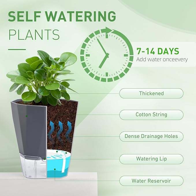 6 Pack Self Watering Planter Pots, 5 Inch Plastic Planters with Drainage Holes, Cotton Rope and Clear Reservoirs, Decorative Flower Pots for Indoor Outdoor Plants (Grey)