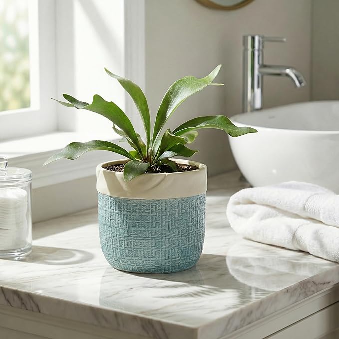 Ceramic Pots for Plants - 6 Inch Plant Pot for Indoor Succulent Plants, Round Planters with Drainage Hole, Decorative Flower Pots, Garden House Room Decor, Gardening Gifts for Women, Blue