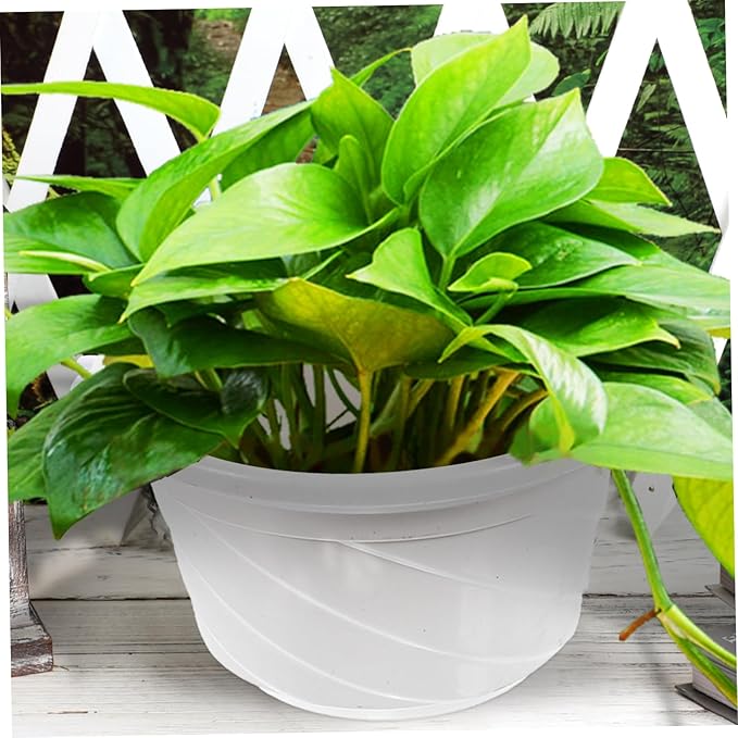 Veemoon Versatile Hanging Pots 3pcs Plastic Chlorophytum Planter Simple Design for Balcony Ceiling or Table for Air Plants Chlorophytum and Home Decor