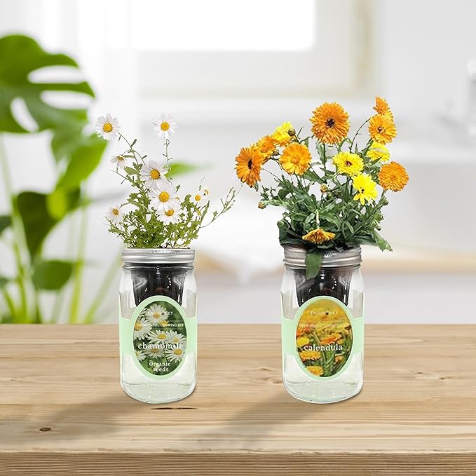 2-Pack Hydroponic Mason Jar Herb Garden Kit, Indoor Herb Garden Self-Watering Starter Kit, New Christmas Gift for Mom (Calendula,Chamomile)