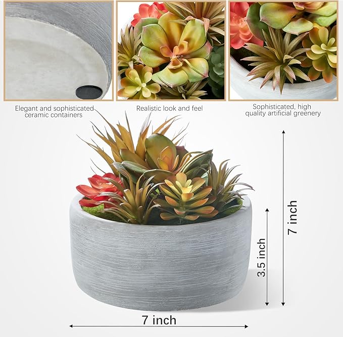 6 Inch Artificial Succulent Plants in Pots,Realistic Fake Succulents with Gray Ceramic Pot for Home Office Desk Bathroom Coffee Table Decor