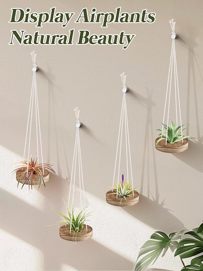 6 Pcs Hanging Wooden Air Plant Holder - 3" Round Airplants Live Hanger with Ropes, Rustic Tillandsia Succulent Display Container Stand for Home Office Decor Housewarming Gift (Excluding Plants)