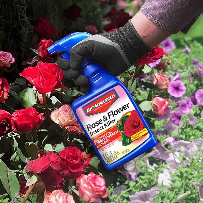 BioAdvanced Rose and Flower Insect Killer, Ready-to-Use, 24 oz (Pack of 2)