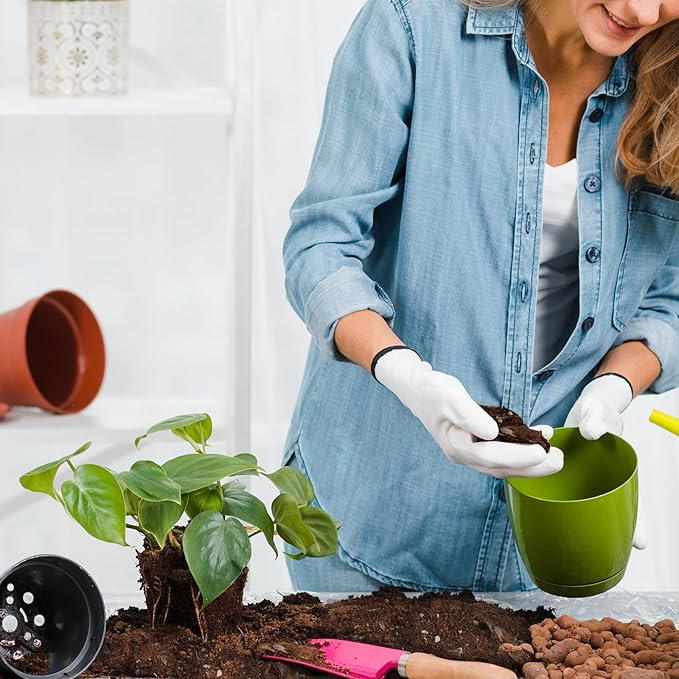 Doter Organic Pothos Soil Mix 1qt, Indoor Plants Potting Mix for All Potted Pothos, Grow Healthy houseplants Indoors