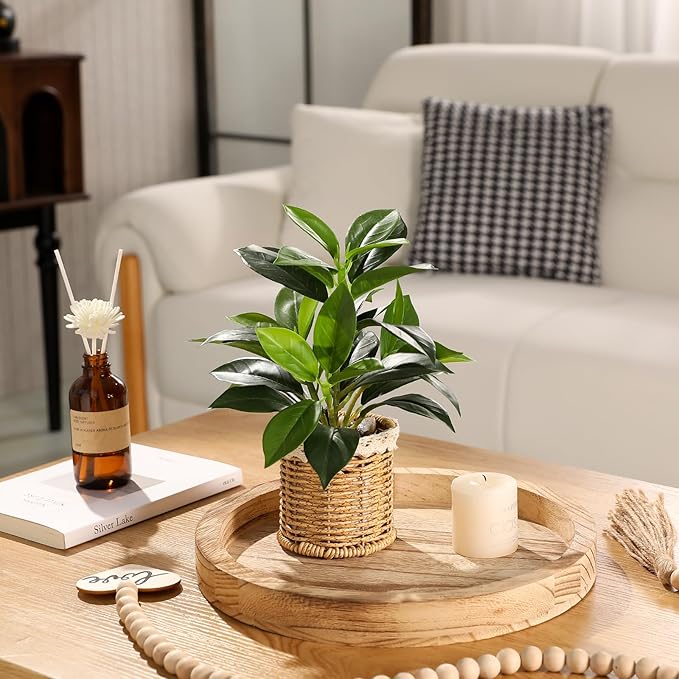 Nubry 2 Pack Fake Plants Artificial Potted Plants with Weaved Pot for Shelf & Table Desk | Perfect for Home Office Bathroom Farmhouse Room Coffee Table Decor 10‘’