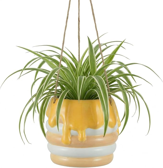 Bee Decor Hanging Planter: 6x4 Inch Opening Cute Flower Pot with Drainage - Ceramic Honey Plant Pot for Indoor Outdoor Garden Kitchen Bathroom