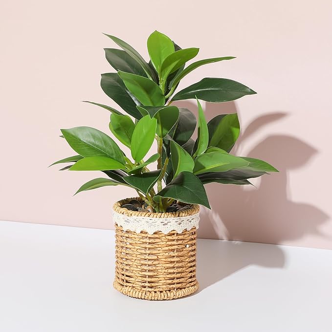 Nubry Fake Plants Artificial Potted Plants with Weaved Pot for Shelf & Table Desk | Perfect for Home Office Bathroom Farmhouse Room Coffee Table Decor 10‘’