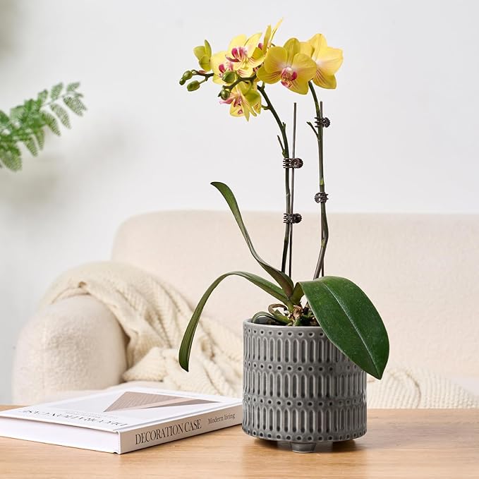STHIE 5 Inch Ceramic Planters for Indoor Plants, Gray Cactus Snake Plant Pots with Drainage, Unique Design Round Flower Pot for Home Decoration