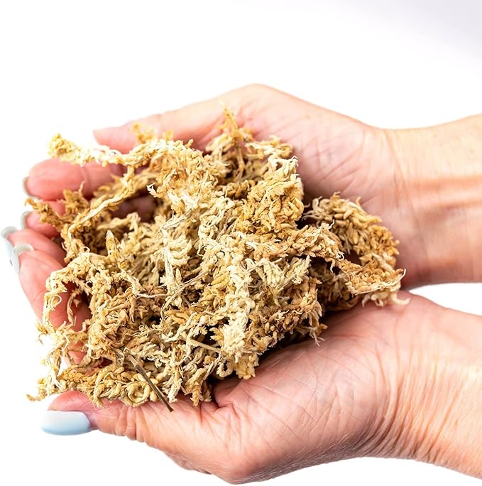 Premium New Zealand Sphagnum Moss by Gardenera - 10 Quart - Organic Hand Mixed Long Fibered Sphagnum Moss Orchid (2 Bags of 5 Quart)