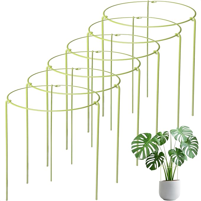 6-Pack Plant Support Stakes for Indoor Plants, Adjustable Monstera Cages & Snake Plant Support Rings, Potted Plant Supports Garden Stakes (6" W x 11" H)