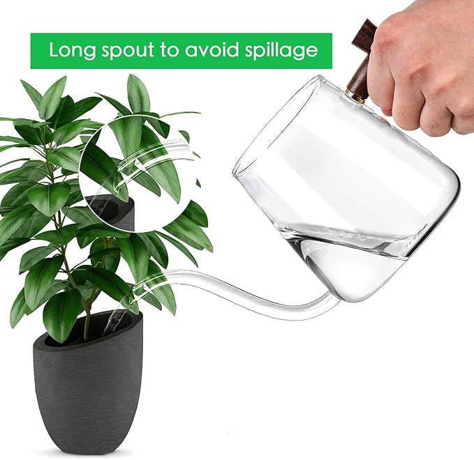 FrutPunch Watering Can Indoor Plants, 27 OZ Glass Watering Can, Long Curved Spout, Suitable for Indoor Plants, Bonsai Garden Flower Decoration