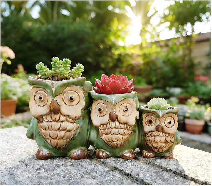 Cute Owl Planter, Small Funny Succulent Pots, Unique Decorative Animal Statue Ceramics Plant Pot for Indoor/Outdoor Home Office with Drainage, Owl Gifts for Women Mother Teacher, Three Owls