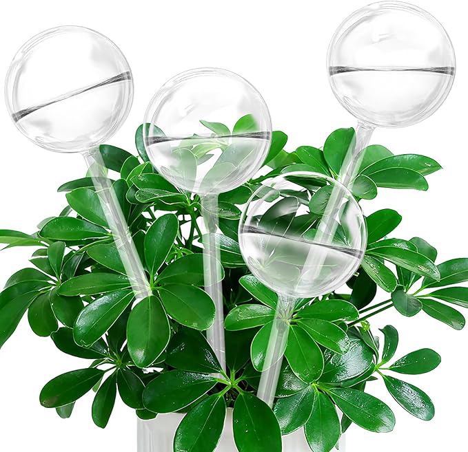 Self Watering Globes, Glass Clear Plant Watering Globes, Self Watering Planter Insert for Indoor & Outdoor Potted, Self Watering Planter Insert Spikes Devices for Everyday or Vacation Use, 4 Pack
