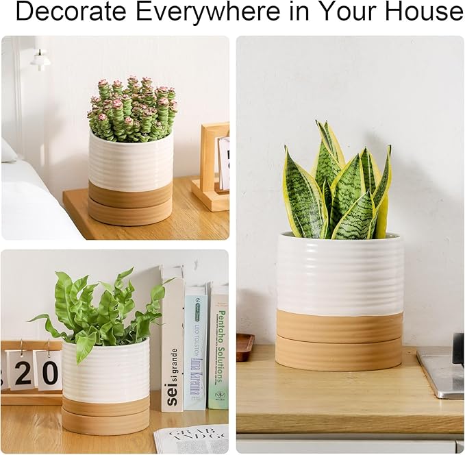 HASENSE Pots for Plants, 8+6+4.6 Inch Ceramic Plant Pots Indoors with Drainage Hole and Tray, White Planters Set for Outdoor Indoor Plants, Farmhouse Home and Office Decor, Set of 3