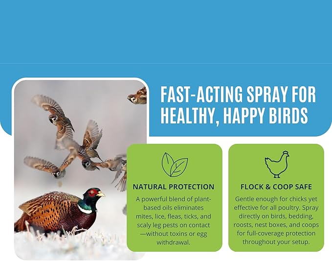 Colton’s Naturals Poultry Spray 32 oz – for Chickens – Helps with Mites, Lice, Fleas & Scaly Leg – Safe for Coops, Birds & Backyard Poultry