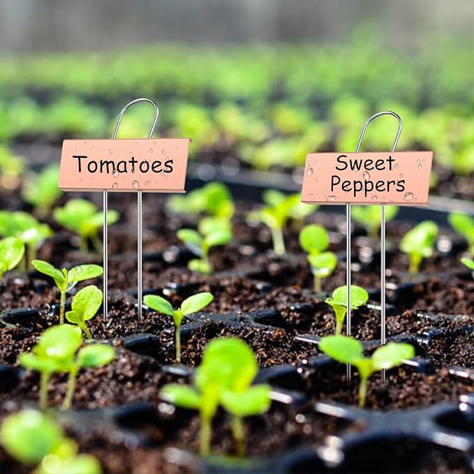 30-Pack Rust-Proof Metal Plant Labels with Galvanized Stakes, Height 10.6" Label Area 3.5"x1.2", Waterproof Weatherproof Garden Markers, Reusable Tags with 2 Pens (Gold)