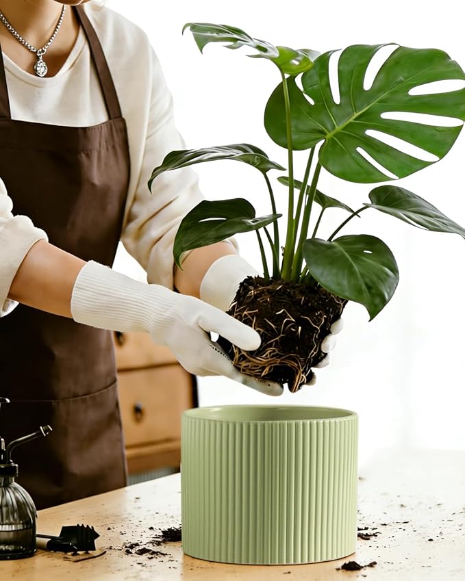 Ceramic Plant Pots, 8.1 + 6 Inch Planters for Indoor Plants, Modern Flower Pot for Plant with Drainage, Medium Cylinder Flower Pots for Indoor/Outdoor, House Plants, Matte Green