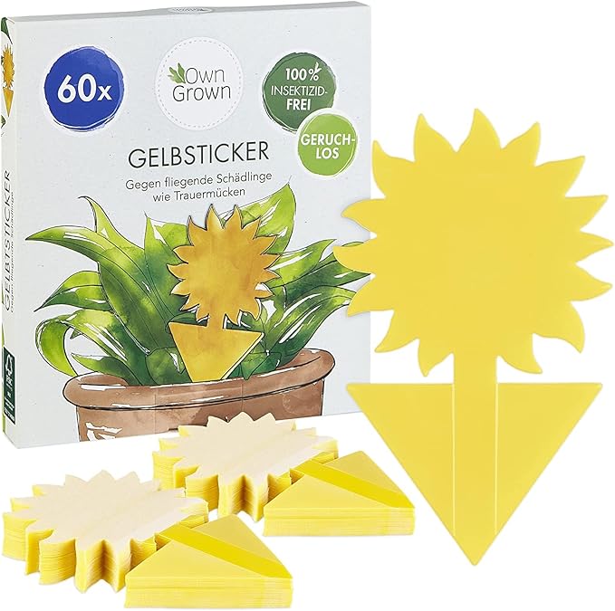 OwnGrown Yellow Sticky Fly Traps for Indoor Plants - 60 Pieces Effective Gnat Control, White and Fruit Fly Traps - Sunflower Sticker Paper Ideal for Houseplants and Indoor Use - 5.3" x 2.95"