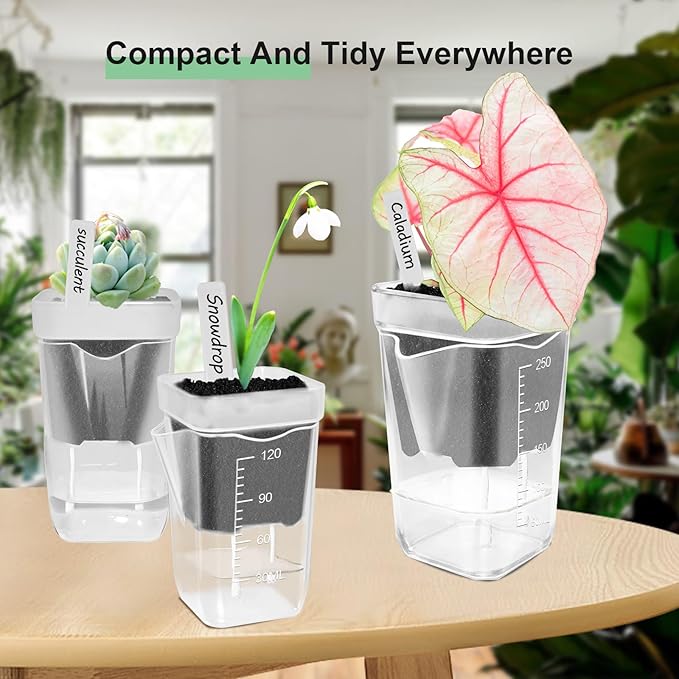 24 Pack 2" Small Self Watering Pots for Indoor Plants, Clear Plant Pots with Drainage & Water Level, Semi Hydroponic Pots for Propagation, African Violet, Cutting and Succulents