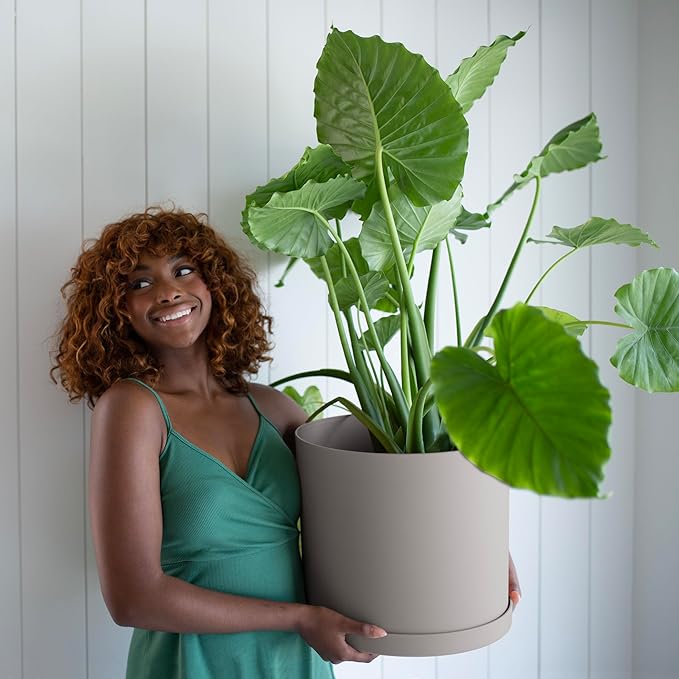 Bloem Mathers 12" Pebble Stone Round Modern Resin Garden Planter Pot with Drainage Holes and Removable Saucer Tray Included