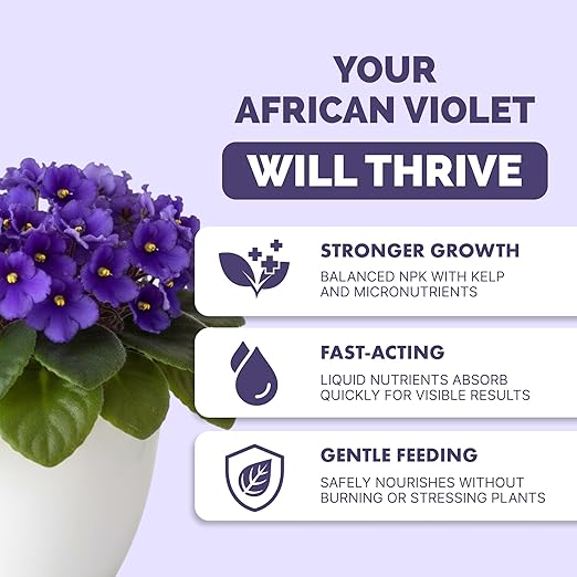 African Violet Fertilizer – Liquid Plant Food for More Blooms, Rich Green Leaves & Healthy Root Development, 1 Gallon