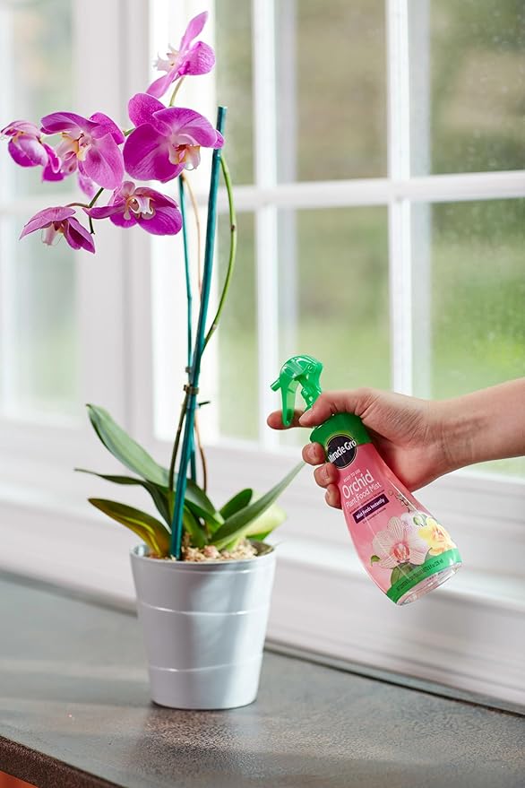 Miracle-Gro Ready-to-Use Orchid Plant Food Mist - Fertilizer Mist for Indoor Blooming Orchids - 8 fl. oz. (2 Pack)