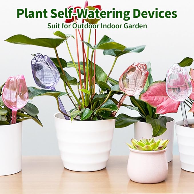 TJE Self Watering Glass Globes for Plants - Automatic Plant Waterer Bulbs with Rainbow Colors, Indoor/Outdoor Drip Irrigation Device for Vacation (Champagne, Pink, Purple, Clear)