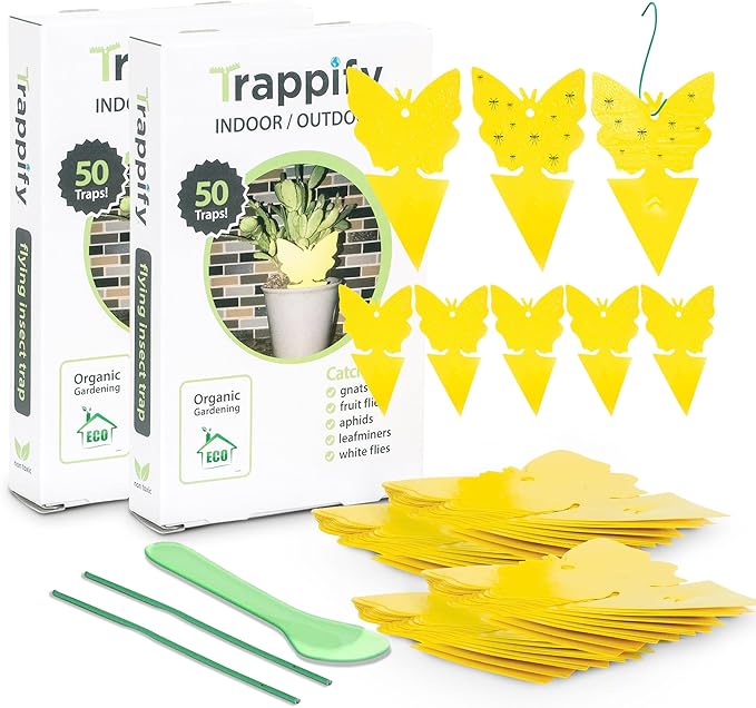 Trappify Sticky Gnat Traps for House Indoor - Yellow Fruit Fly Traps for Indoors | Outdoor Plants | Insect Catcher for White Flies, Mosquitos, Fungus Gnats | Disposable Glue Fly Trap Indoor (100 Pack)