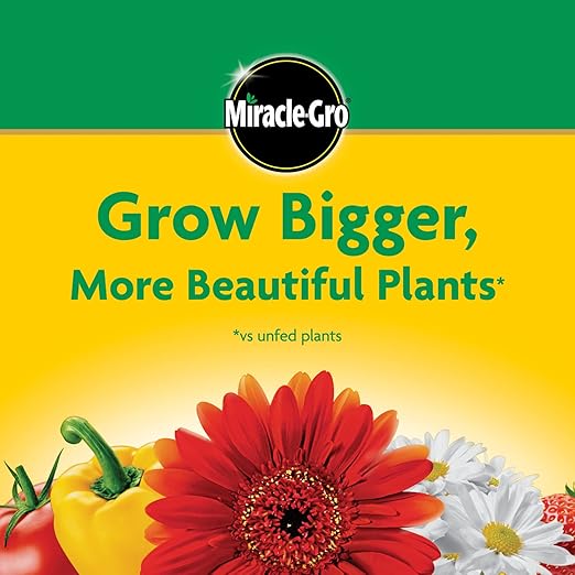 Miracle-Gro Water Soluble All Purpose Plant Food - Fertilizer For All Indoor or Outdoor Plants including Roses, Flowers, Vegetables, Houseplants, Trees, and Shrubs, 5.5 lb. Bag