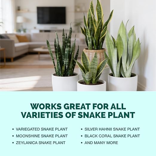 Snake Plant Fertilizer – Liquid Plant Food for Upright Growth, Strong Roots & Rich Green Leaves, 32 oz