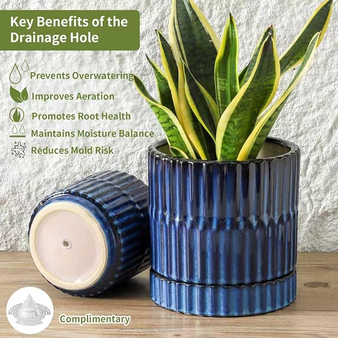 HASENSE Ceramic Pot for Plants, 3-Pack (8/6/4.6 inch) Medium Flower Planter with Drainage Holes & Tray, Rective Glaze Plant Pots Indoor with Ribbed Design, Kithen Home Office Decor, Blue