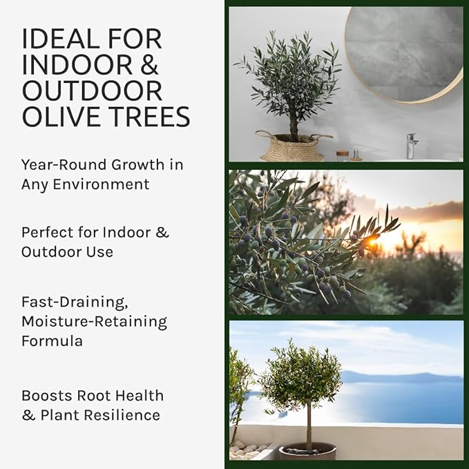 GARDENWISE Organic Olive Tree Potting Mix – Fast-Draining, Nutrient-Rich Soil for Indoor & Outdoor Olive Trees – Mediterranean Plant Care – Long-Lasting Formula (5 QUARTS)
