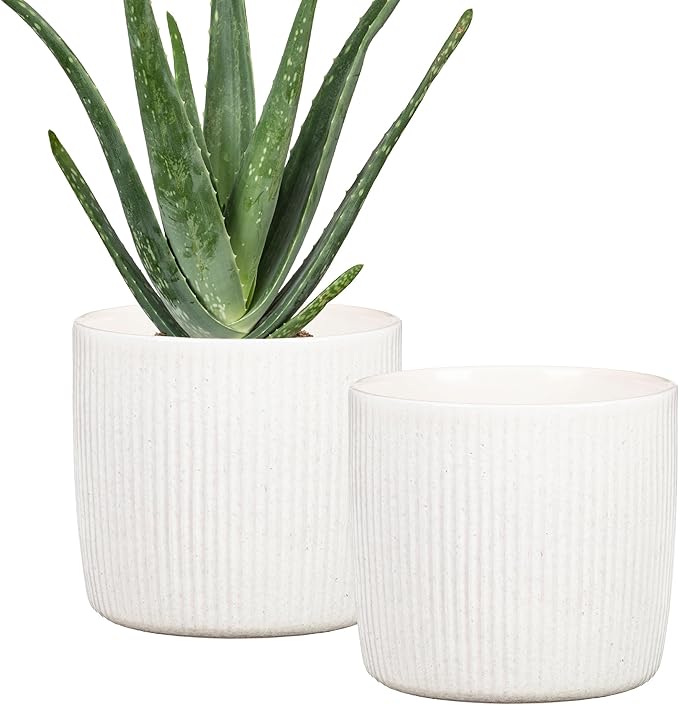 Scheurich Set of 2 Solido Linea Perla Ceramic Planters – 5.9" Decorative Pots for Indoor Plants - Waterproof&UV-Resistant - Elegant Relief Texture - Made in Germany, Modern Home&Office Decor - 0.5 gl