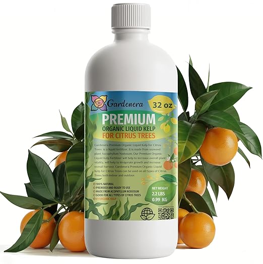 GARDENERA Premium Organic Seaweed & Kelp Superfood for Citrus Trees Plants - 32 oz - Liquid Kelp Fertilizer Concentrate (Makes 180 Gallons)