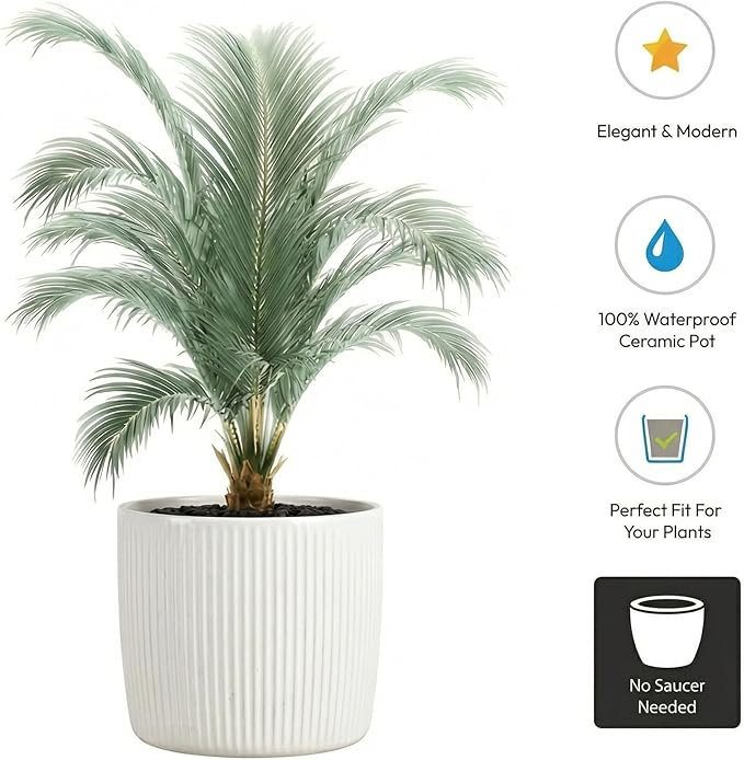 Scheurich Set of 2 Solido Linea Perla Ceramic Planters – 6.9" Decorative Pots for Indoor Plants - Waterproof&UV-Resistant - Elegant Relief Texture - Made in Germany, Modern Home&Office Decor - 0.8 gl