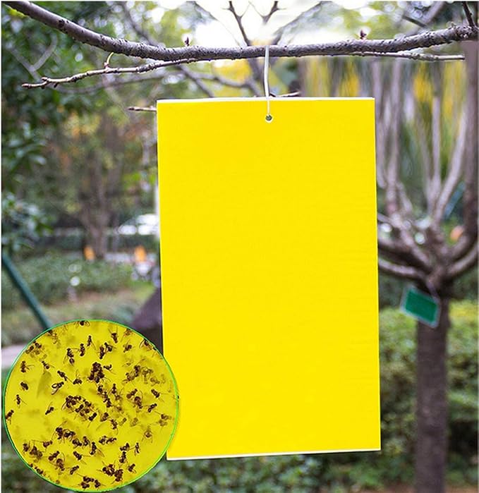 20 Count Dual Yellow Sticky Traps 8 X 6 Inch Set for Flying Plant Insect Like Fungus Gnats, Aphids, Whiteflies, Leafminers -Included 20pcs Twist Ties