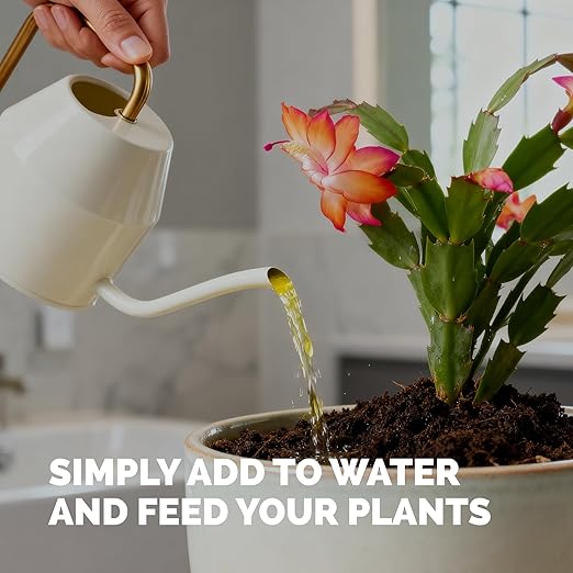 Christmas Cactus Fertilizer – Liquid Plant Food for More Blooms, Brighter Flower Color & Stronger Root Development, 8 oz