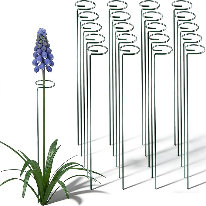 20 Pieces 16 inch Green Single Stem Plant Stakes Garden Plant Support Rings Flower Support Hoops Prop for Amaryllis Orchid Lily Rose Peony Gladiolus