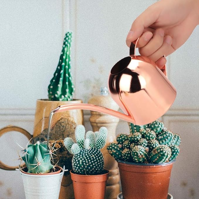Watering Can, Stainless Steel Watering Pot with Long Spout Mini Houseplant Potted Plants Sprinkling Water Kettle for Indoor Outdoor Succulent Bonsai Garden Flower Gift Decoration 500ml(Rose Gold)
