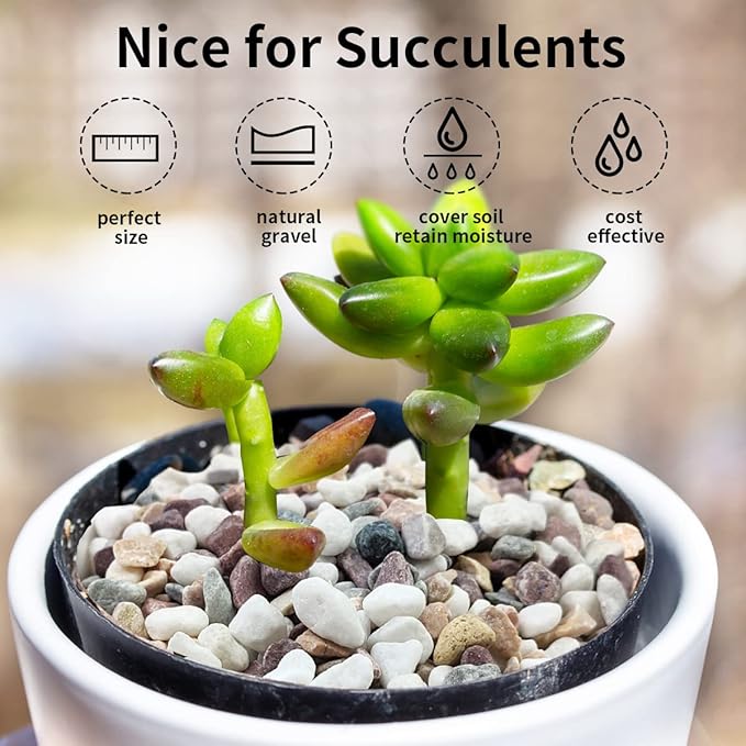 FANTIAN 5 lbs Natural Mixed Color Gravel Pebbles, 3/8 Inch Decorative Succulent Rocks Pebbles for Plants, Stones for Vase, Landscaping and Outdoor Garden Decorative River Rock