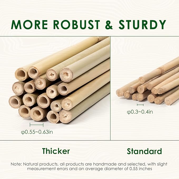Cambaverd Bamboo Stakes 4 Feet Thicker Garden Stakes with Garden Twine, Diameter of 0.55in Natural Plant Stakes Bamboo Poles for Climbing Plants Support Tomato Cage - 20 Pack Bamboo Sticks for Plants