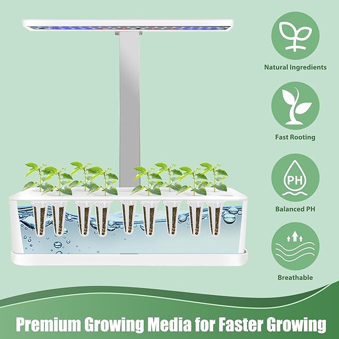 Oregano Seed Pods for All Hydroponics Growing Systems, 12 Pods Herb Kit with 600+ Seeds of Oregano, Grow Your Own Herb Garden at Home