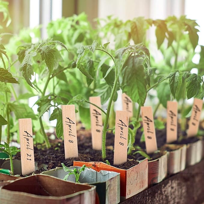 Whaline 100Pcs Wooden Plant Labels Pointed Wooden Garden Markers Waterproof Plant Sign Tags Decorative Garden Tags for Seed Potted Herbs Flowers Vegetables with 2 Marker Pen, 6 x 0.8 Inch
