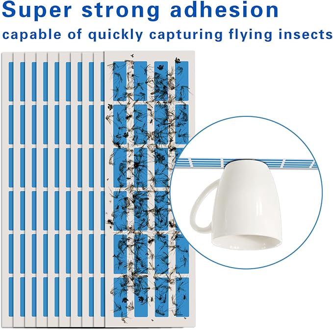 UV Fly Light Trap Indoor for Home Gnat Traps for House, Wall Sconce Fly Light Bug Catcher for Kitchen House & Restaurant Fruit Flies Garage & Warehouse (10 PCS Sticky Boards)
