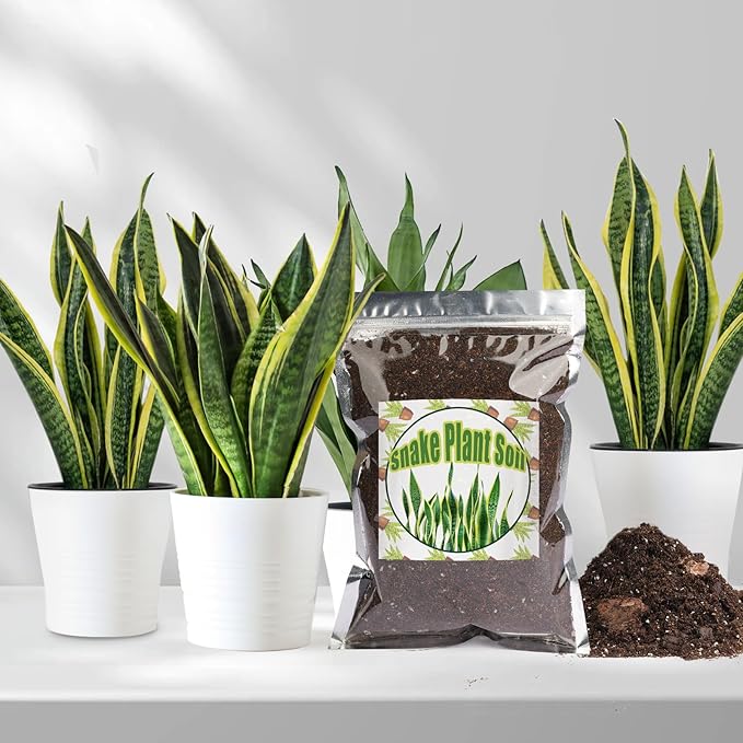 Doter Premium Snake Plant Soil Mix 2qt, Indoor Plants Potting Mix for All Potted Snake Plants, Promote Healthy Growth and Easy Care