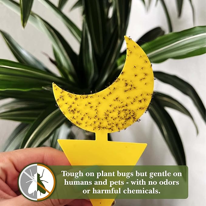 Classy Casita Plant Care Bundle: Sticky Traps, 24-Pack Plant Sticky Traps & Soil Moisture Meter for Indoor & Outdoor Plants w/Plant Watering & Care eBook, Black